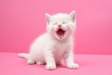 A Cute Little Fluffy White Baby Kitten Yawning With Her Mouth Wide Open. Sleepy Yawning Kitten On Flat Pink Background With Copy Space. Generative AI Professional Photo Imitation.