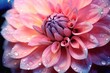 Close up of captivating petal textures