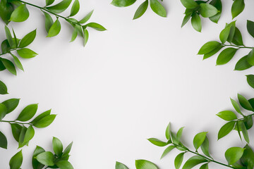 Natural green branches with leaves on empty light grey background with copy space. Trendy template with fresh plant. Eco summer flat lay. Cosmetic product marketing. Top view. Minimal composition.