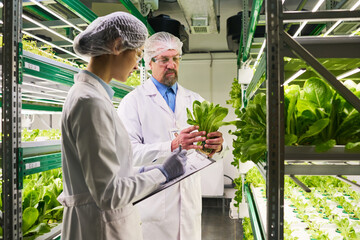 Aufkleber - Side view of two intercultural scientists studying new sorts of spinach while young female researcher looking at green seedlings and making notes
