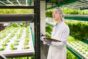 Aufkleber - Young Asian female scientist looking at green seedlings of leafy vegetables growing on vertical trusses and making notes during research