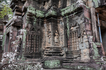 Wall Mural - Ta Prohm Temple in Angkor Archaeological Park, Siem Reap, Cambodia