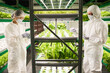 Side view of two coworkers in hazmat suits and protective masks standing by vertical trusses with green leafy vegetables growing in hothouse