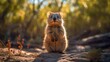 © piai - Quokka. Generative AI