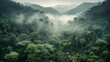 © Sasint - Misty jungle rainforest from above in the morning. Tropical forest with sun rays and fog. Aerial view. Nature landscape wallpaper background, Generative AI