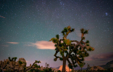 it's something about joshua tree