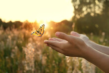 Flying Butterfly And Human Hands On Abstract Sunny Natural Background. Freedom, Save Wild Nature, Ecology Concept. Encounter Man And Nature. Harmony, Peaceful Atmosphere Landscape. Copy Space