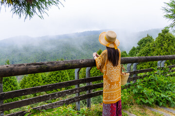 Sticker - Travel woman look at the scenery view in forest