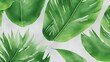 Tropical leaf, leaves collection for design. creative and minimal art nature background.decoration pattern, generative ai