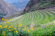 Landscape of Peru. Sacred Valley of the Incas. Terraces of Pisac.