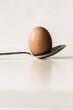 Brown egg on a silver spoon against a white background.