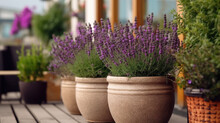 Beautiful Pots With Blooming Purple Lavender On The Terrace Of The House. Home Plants. Floriculture. Generative AI