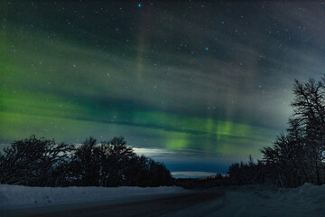 night sky with stars and green polar northern lights on the background of roads, trees, snow in wint