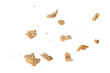 Crumbs of fresh whole grain bread isolated on white background. Isolate crumbs of different sizes for insertion into a design or project.