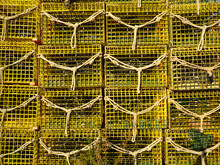 Graphic Image Of Yellow Colorful Lobster Traps Or Lobster Cages