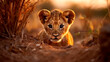 lion cub baby small .  Generative AI
