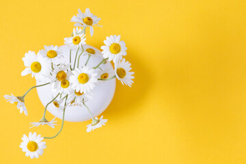 Canvas Print - Flowers composition. Beautiful small chamomile in white round vase on yellow table. Spring and summer floral beautiful background. White daisies on yellow. Flat lay, top view