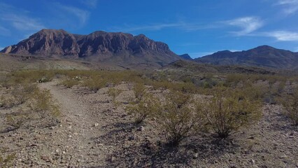 Poster - Hiking Through Sparse Desert Toward Mountains in Big Bend