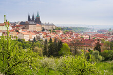 Prague Castle And Patrin Gardens In Spring, Prague, Bohemia, Czech Republic (Czechia), Europe