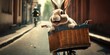 rabbit have fun bicycle ride on sunshine day in summer on town street Generative AI