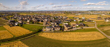 Golden Wheat Fields By Houses In Small Town Neighborhood