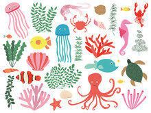 Vector Marine Animals And Plants Flat Style Set. Different Fish, Shells And Seaweeds Under The Sea Set.