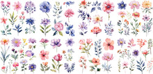 A Big Watercolor Floral Package Collection. Use By Fabric, Fashion, Wedding Invitation, Template, Poster, Romance, Greeting, Spring, Bouquet, Pattern, Decoration And Textile.