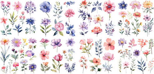 a big watercolor floral package collection. use by fabric, fashion, wedding invitation, template, po
