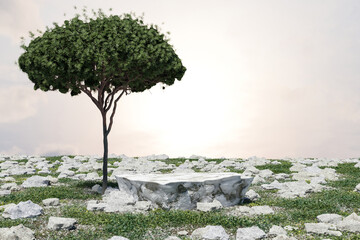 Wall Mural - Abstact 3d render winter scene and Natural podium background, Stone podium on and grass field and alone big tree with rocks for product display, advertising or etc