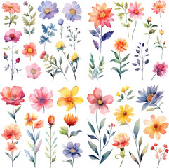 Wall Mural - A Big watercolor floral package collection. Use by fabric, fashion, wedding invitation, template, poster, romance, greeting, spring, bouquet, pattern, decoration and textile.