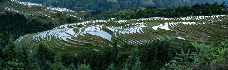 Wall Mural - panorama of terrace fields on mountains