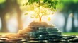 © NADUN - Explore abundance and prosperity with our captivating money tree concept photo. Embrace the allure of wealth and success.