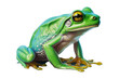 Green frog on a white background. Ai generative
