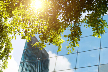 Wall Mural - Clouds reflected in modern office building wall