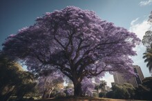 A Fully Bloomed Jacaranda Tree. Generative AI