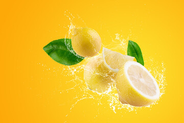 Wall Mural - Creative layout made from Fresh Sliced lemon fruit and water Splashing on a green background.
