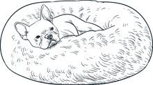 Vintage Hand Drawn Sketch French Bulldog Sleep On Fur Bean Bag