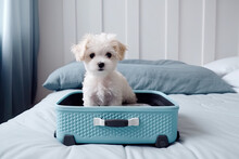 White Dog In Blue Baggage Suitcase Isolated On White Bright Interior, Background. Travel, Holidays Concept. Generated Ai	

