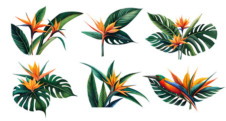 Wall Mural - Watercolor strelitzia set. Generative Ai