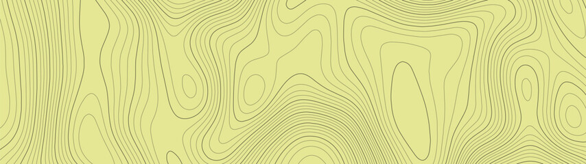 Poster - Topographic map lines background. Abstract vector illustration.