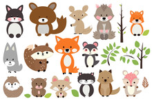 Woodland Animal Clipart Collection, Cute And Colorful Vector Illustration