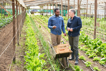 farmer talking to colleague holding in organic farm