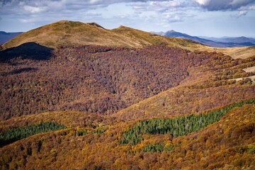 Canvas Print - Drone shot of hills covered with autumn forests, cool for background