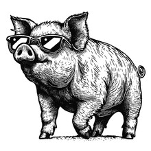 Cool Pig Wearing Sunglasses Vector Sketch