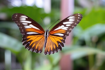 Wall Mural - butterflie flying on graceful flight, with wings fluttering in the wind, created with generative ai