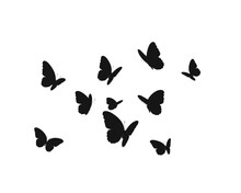 Butterflies Silhouettes Set Black Vector