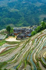 Wall Mural - landscape of terraces fields and village houses