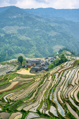 Wall Mural - landscape of terraces fields and village houses