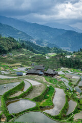 Wall Mural - landscape of terrace fields, forest and villages in fog and clouds