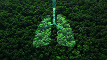 Shape Of Lungs In  Middle Of Forest With A View From Above. Concept Of Nature Protection, Cleanliness, Breathing And Natural Reduction Of CO2.